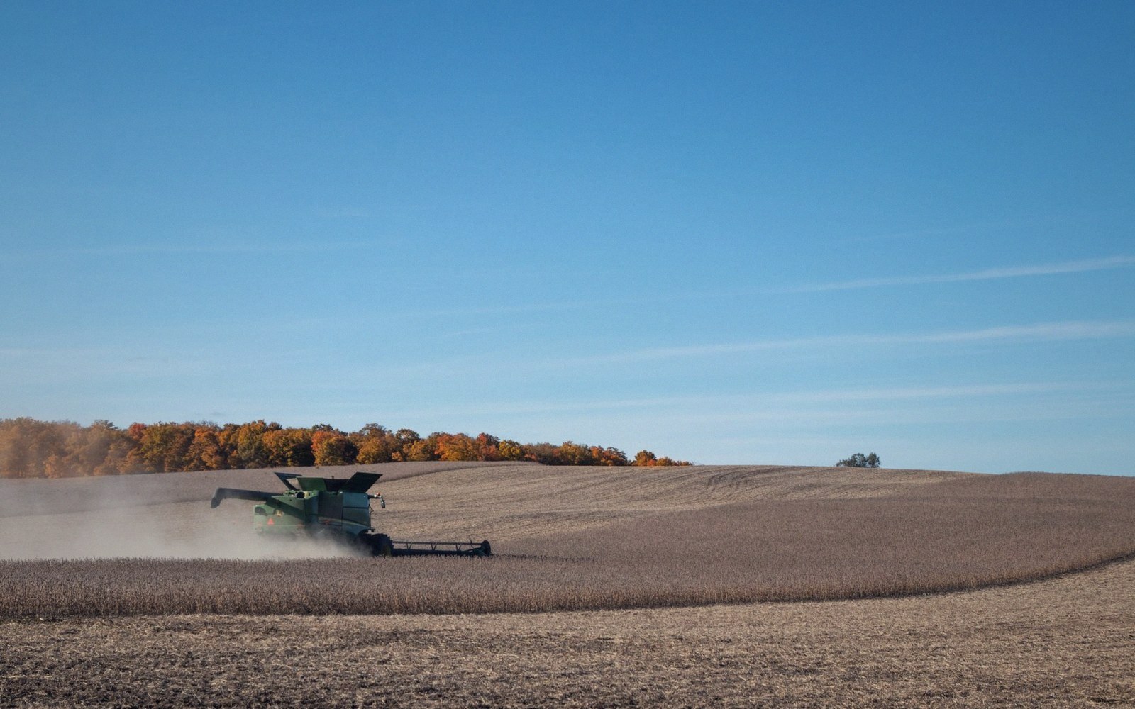 A combine working a soybean field, dust behind