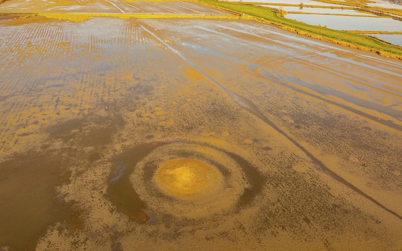 A low earth check holding water across flat ground