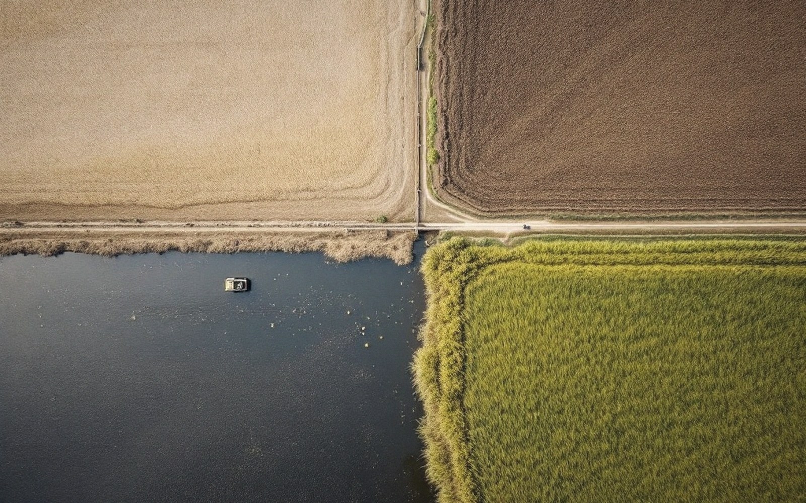 Aerial view of crossroads dividing farm fields, a canal, and a green crop from above