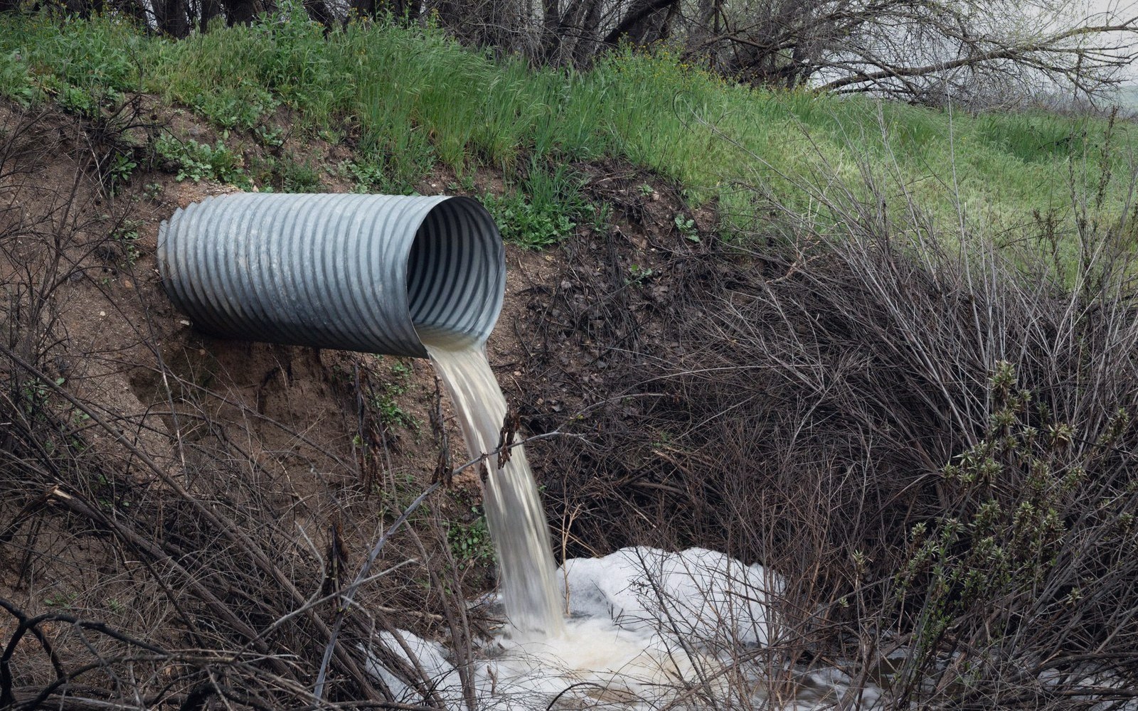 Corrugated metal culvert pipe discharges murky runoff water into a brushy ditch