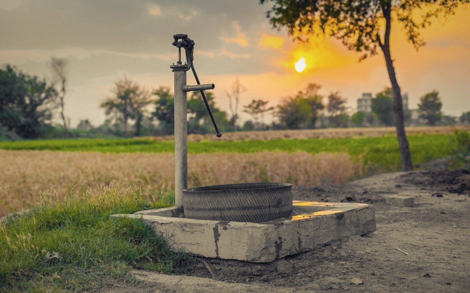 A hand pump well stands on a concrete platform beside farmland at sunset